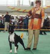 my.love.aivengo.ru Klimenkova