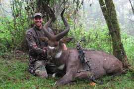 wild-about-you.com Kobrine