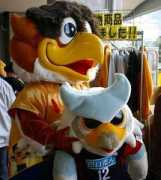 consadole.net Kodole