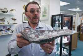 juneauempire.com Koenitzer