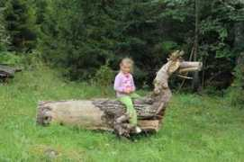 saartehaal.ee Koletis