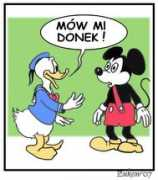 niepoprawni.pl Kolibry