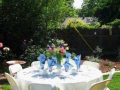 spiketimes.com Kollette