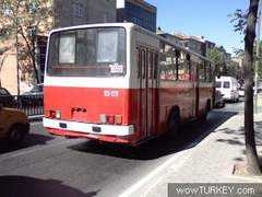 wowturkey.com Koltas