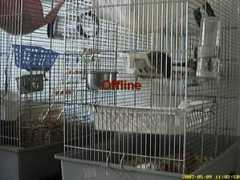 folk.uio.no Konestabo