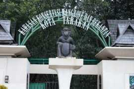 panoramio.com Konservasi