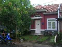 panoramio.com Konsultan