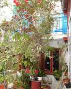 artemis-samos.gr Kontaxi