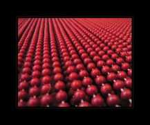 digimanie.cz Koralek