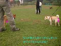 hasega3.fc2web.com Koreichi