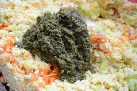 bodieko.si Koriander