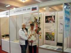 foruminovacij.si Korotina