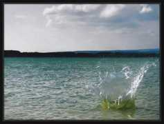 photoextract.com Koruna