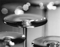 photographersgallery.com Kosoff