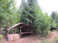 napovednik.com Kostanov