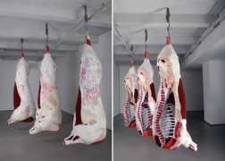 fastcodesign.com Kostianovsky