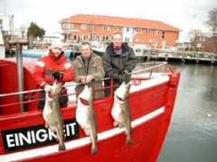 ms-einigkeit.de Koszykowski