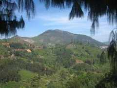 Kotagiri