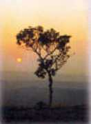 malappuram.nic.in Kottakunnu