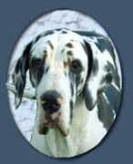 wenco-chamber.de Koulouki