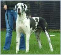 wenco-chamber.de Koulouki