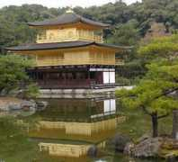 chinatownconnection.com Koyoto