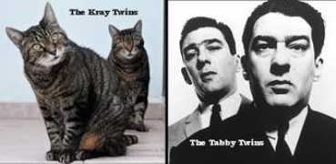 Krays