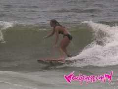 gulfster.com Kreighbaum