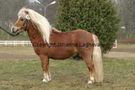 johannalagnevall.com Krillen