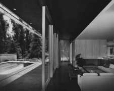 dailyicon.net Kronish