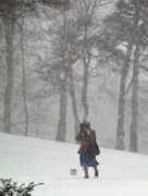 Ksnow