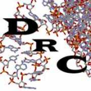 andrew3d.net Kubarenko