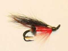 personal.inet.fi Kukila