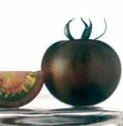 tomatocasual.com Kumato