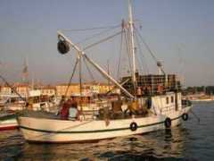 langtonsinternational.com Kundic