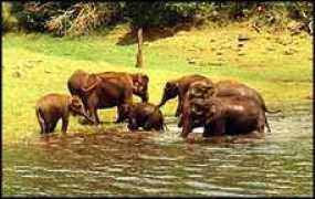indiatravelclub.com Kundran