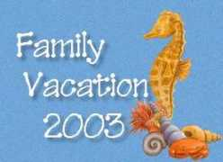 discoverydays.org Kurstie