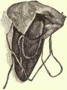 scienceviews.com Kutchin