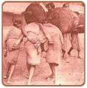 Kuttiya
