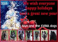 Kvina