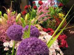 najlepszegalerie.pl Kwiaciarnia