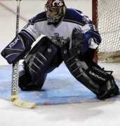 sharkspage.com Labarbera