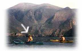 siliconbeach.com Lacefield