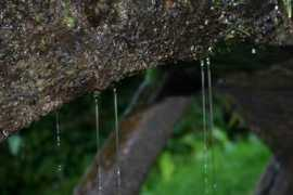 astrokaktus.com Lacijan