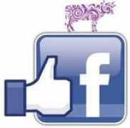 lamaisonlacube.com Lacube