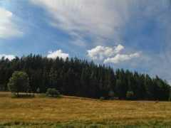 panoramio.com Laczna