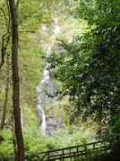 artwanted.com Ladbrook