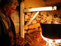 filmkunst.steiermark.at Ladreiter