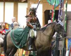 maddolphin.com Ladymarian