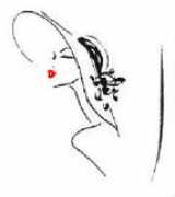 cheesecakeladycatering.com Ladyred